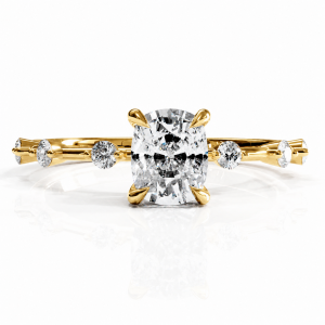 Elongated Cushion Cut Moissanite Side Stone Engagement Ring