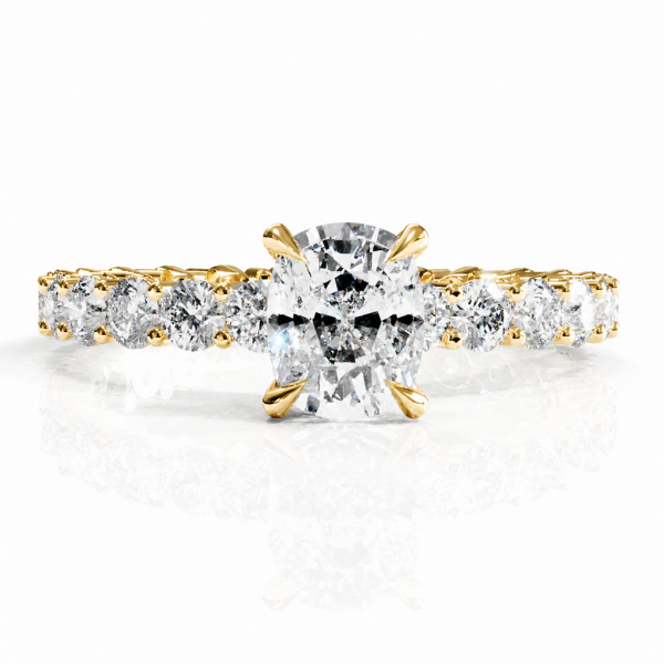Elongated Cushion Cut Moissanite Hidden Halo Side Stone Engagement Ring